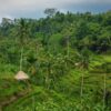 Bali - Image 4
