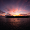 Cenderawasih Bay - Image 4