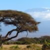Kenya