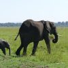 Kenya - Image 6