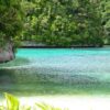 Palau - Image 5