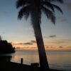 Palau - Image 4