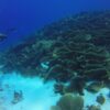 Palau - Image 3