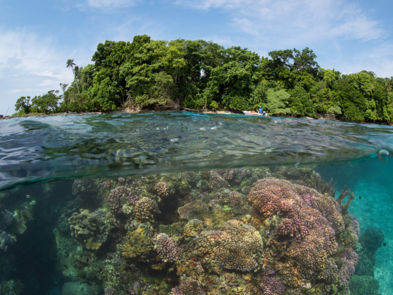 Solomon Islands October/ November 2027