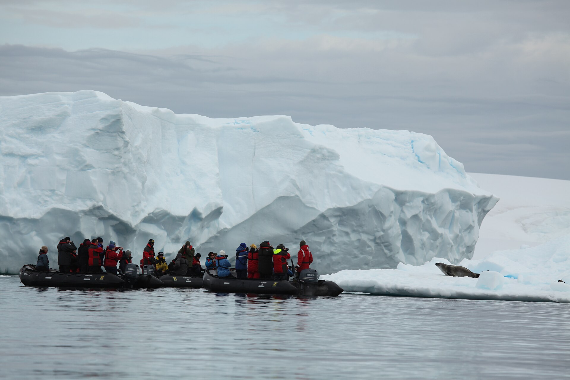 Zodiac cruising