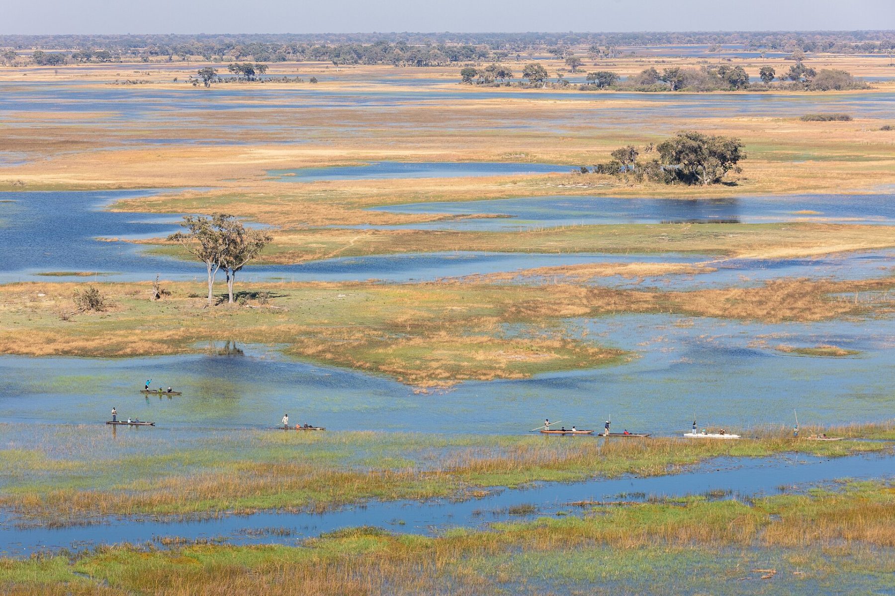 Aerial view of the Okavango Delta