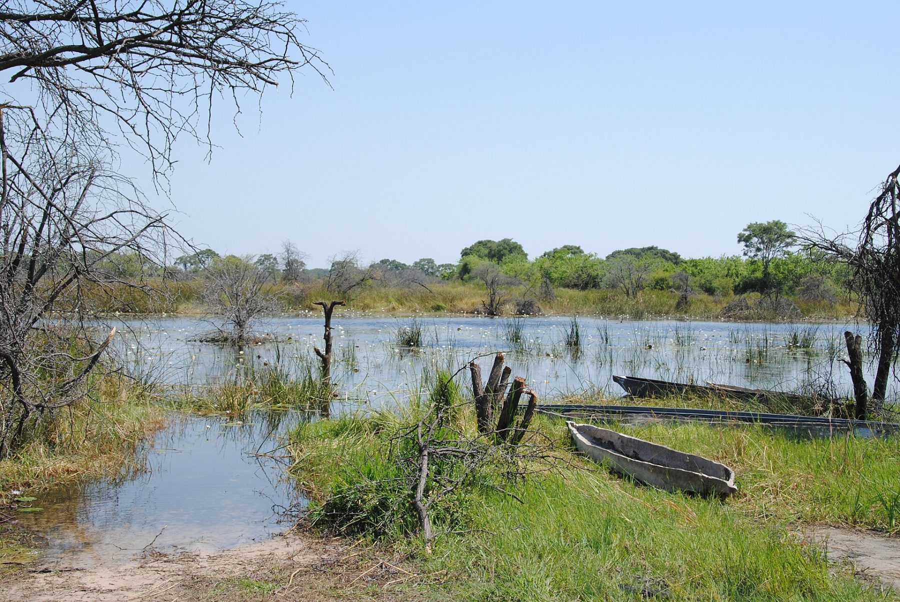 Arrive and fly to Sediba Sa Rona