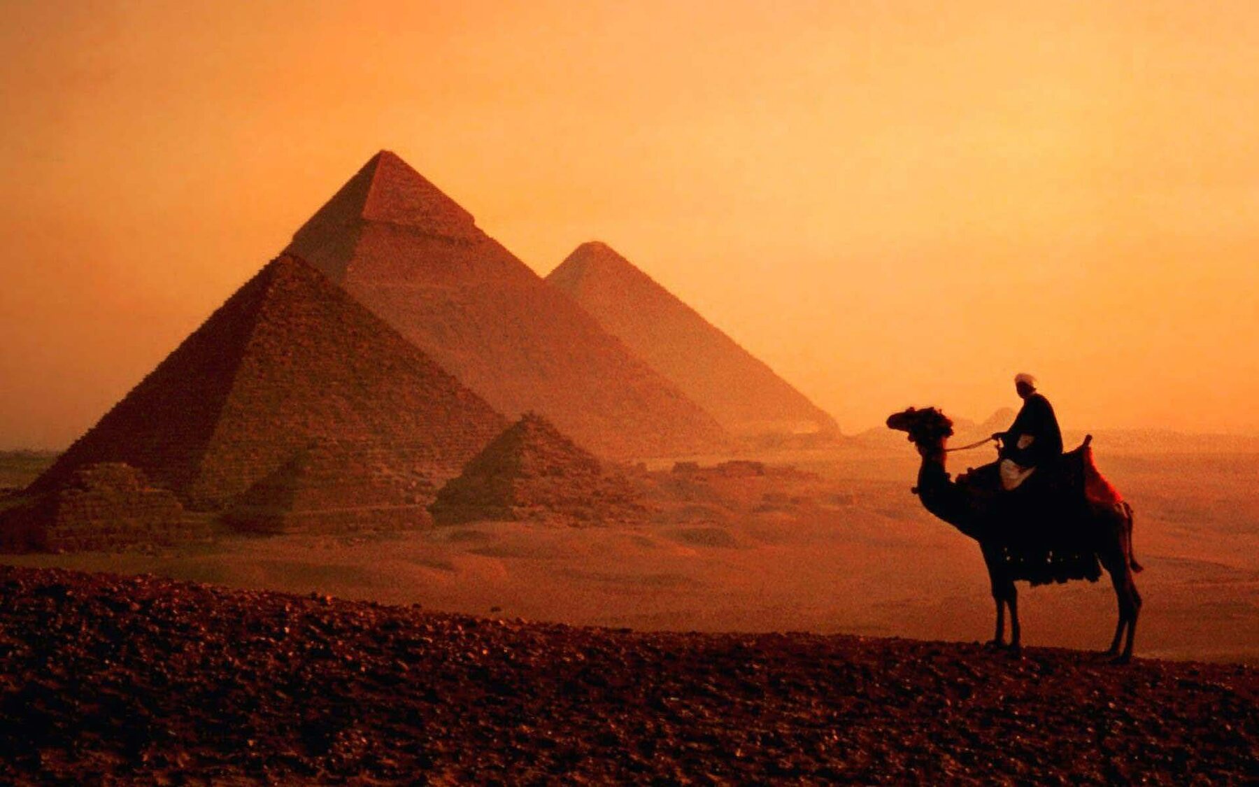 The pyramids of Giza at sunset