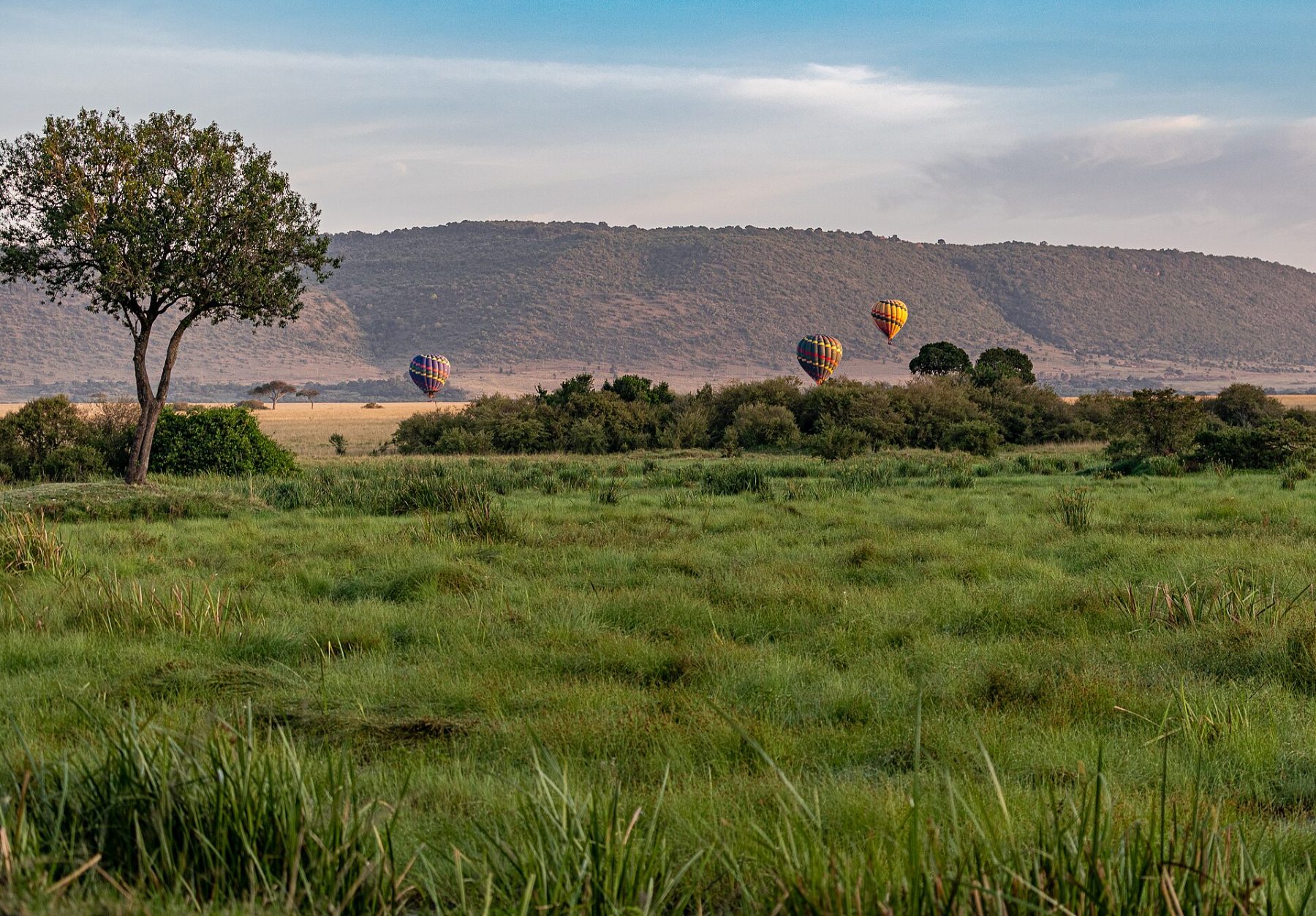 Fly to Lewa Wilderness Lodge