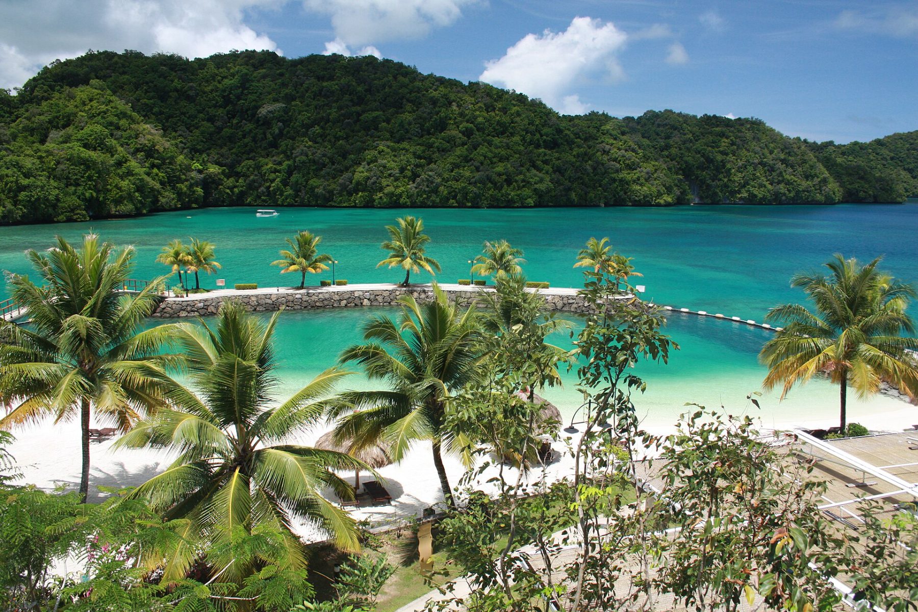 A palm-fringed beach in Palau